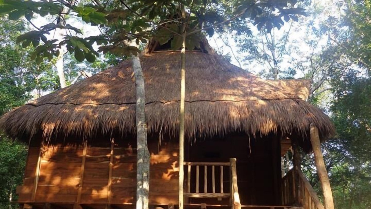 Photo of Outdoor in Macario Gomez