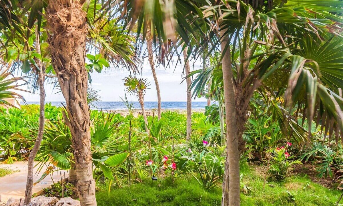 Photo of Outdoor in Akumal