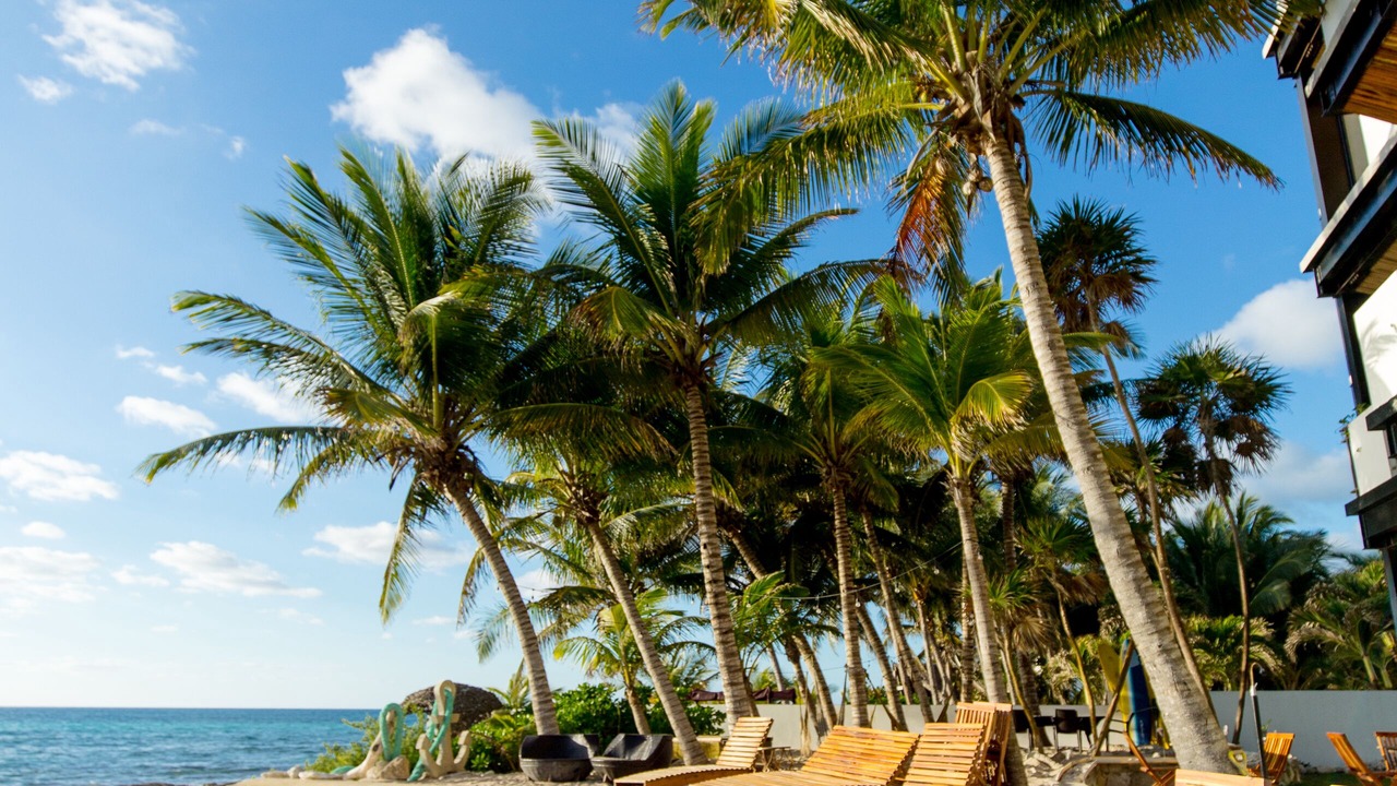 Photo of Outdoor in Puerto Morelos