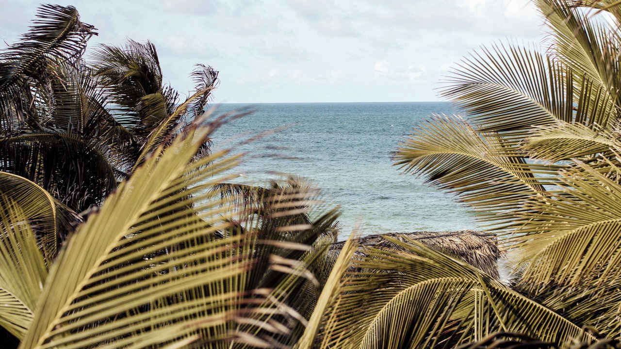 Photo of Outdoor in Zona Hotelera