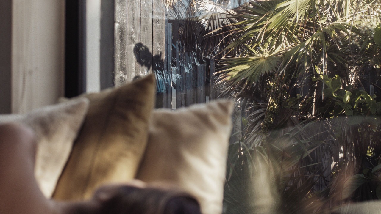 Photo of Outdoor in Zona Hotelera