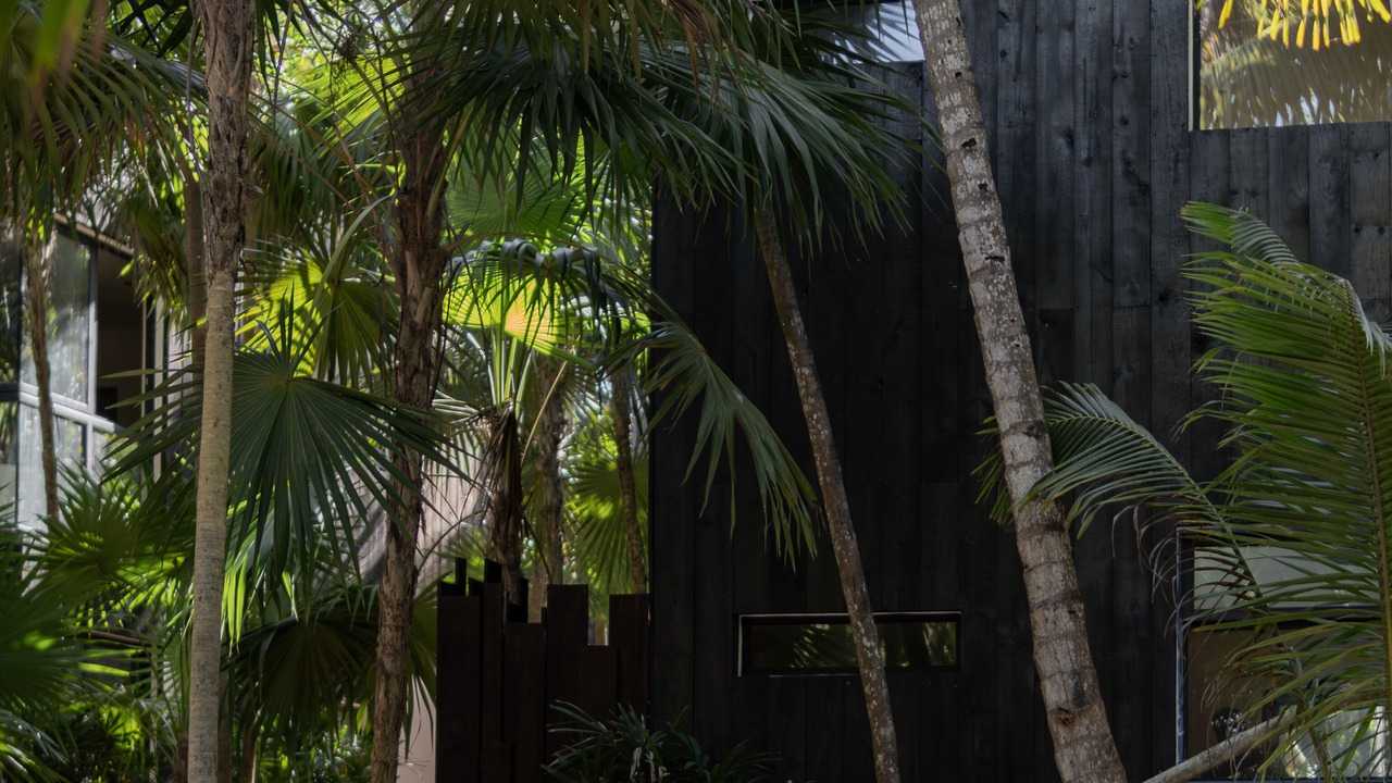 Photo of Outdoor in Zona Hotelera