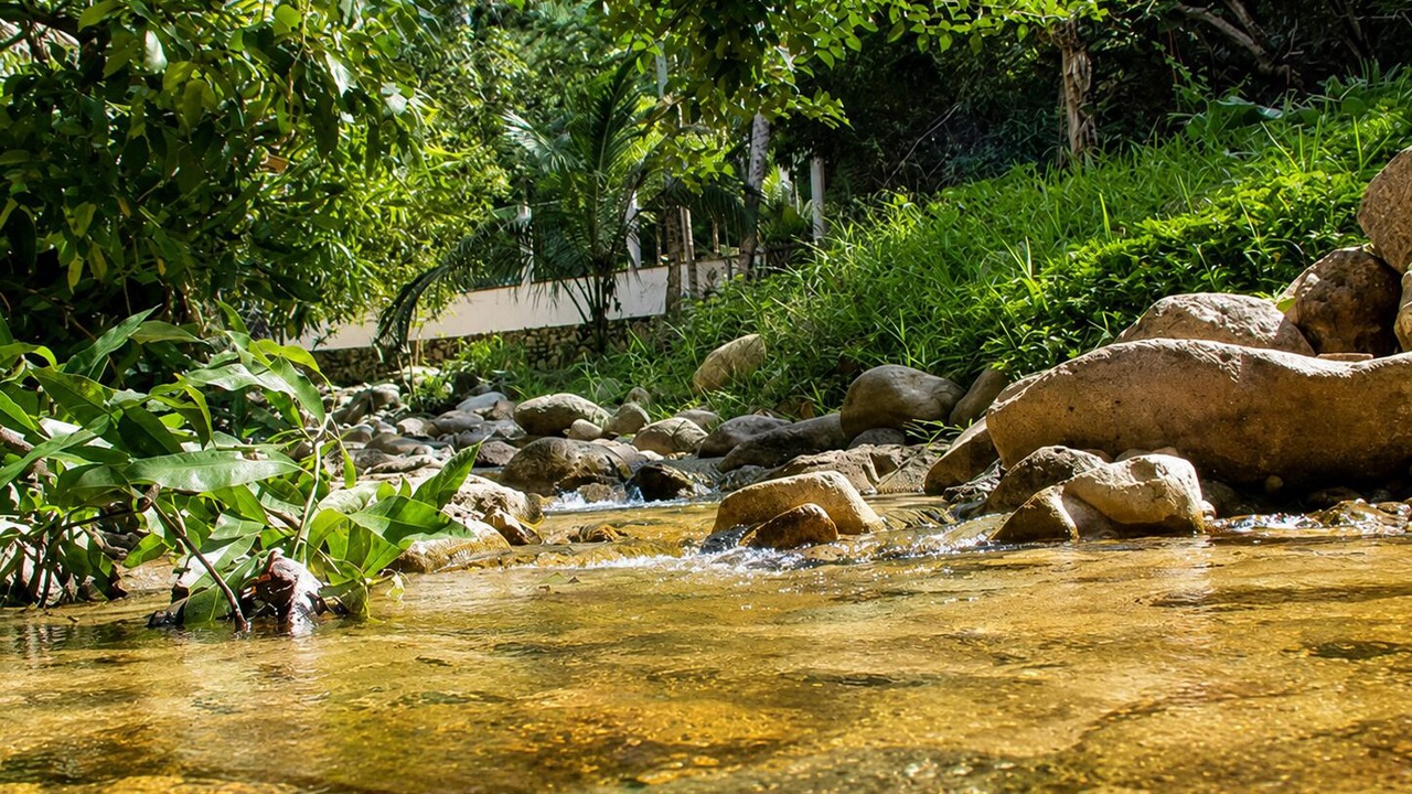 Photo of Others in Puerto Vallarta