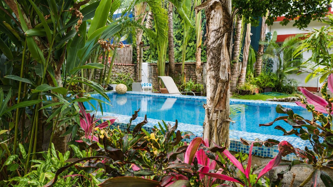 Photo of Outdoor in Puerto Vallarta