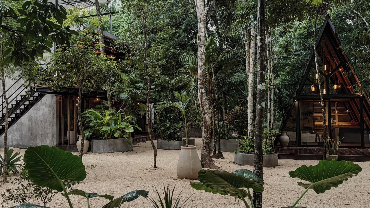 Photo of Outdoor in Leona Vicario