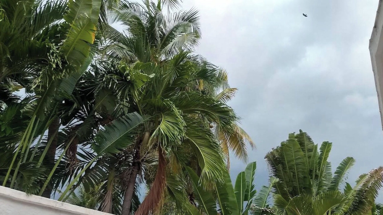 Photo of Bedroom in Boulevard Barra Vieja