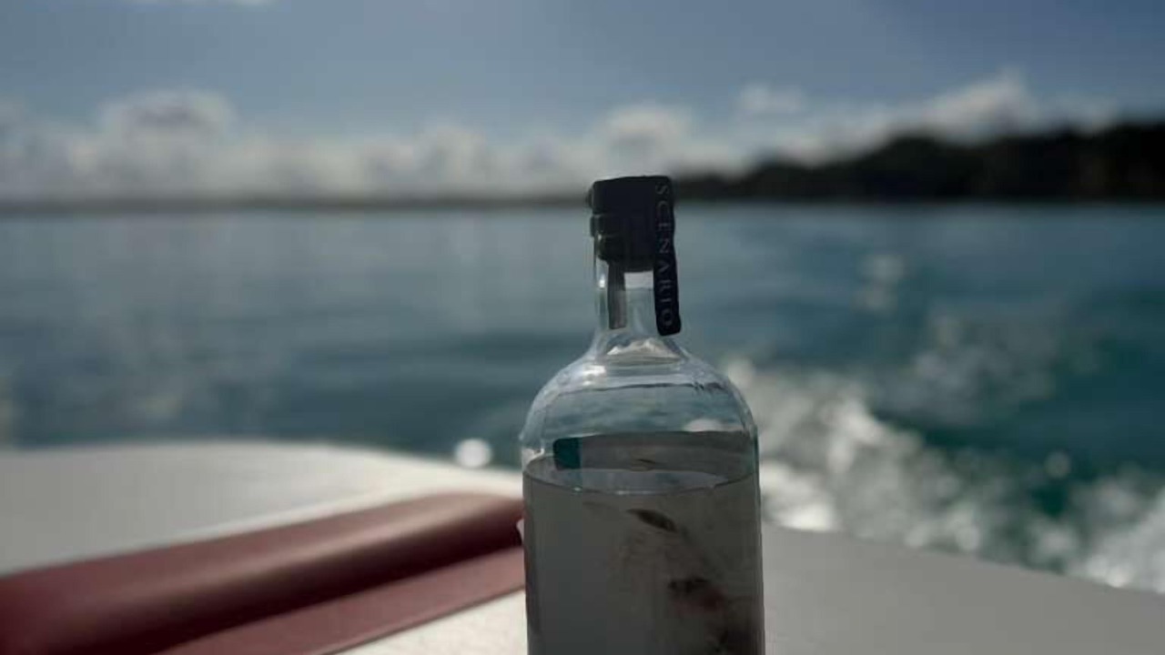 Photo of Outdoor in Chetumal