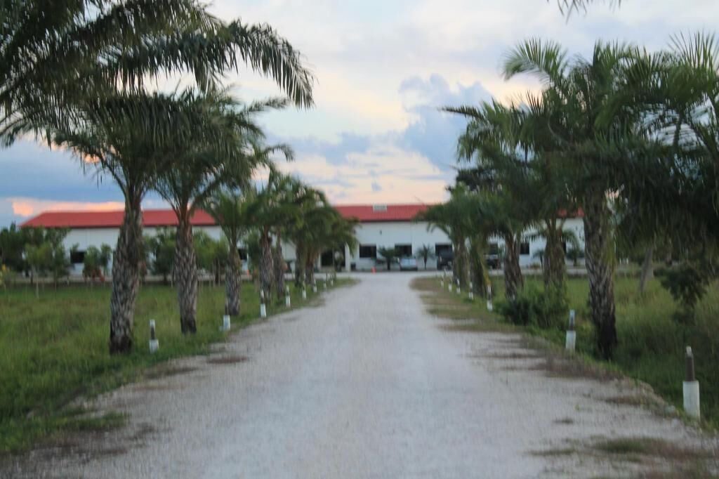 Photo of Others in Escarcega