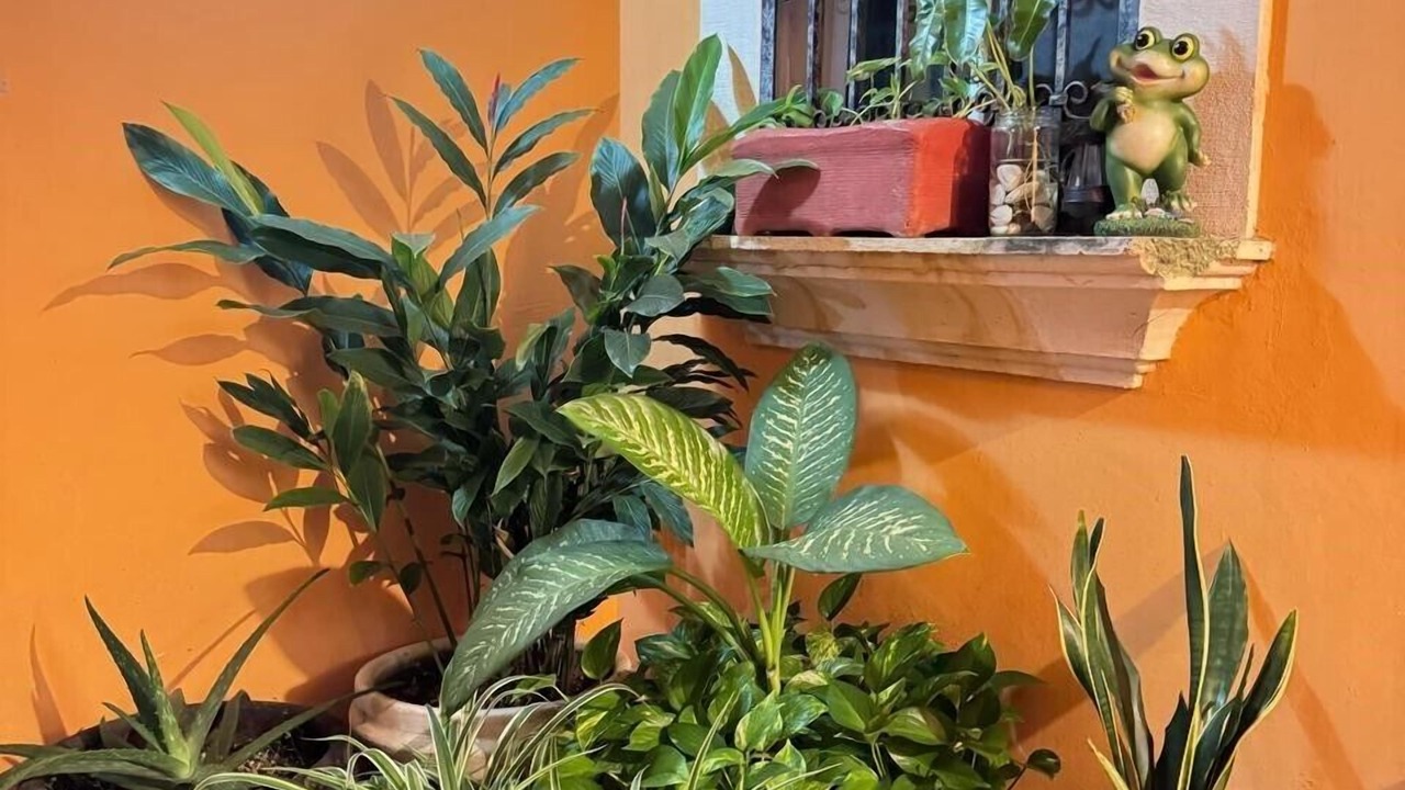 Photo of Livingroom in Downtown Cancun