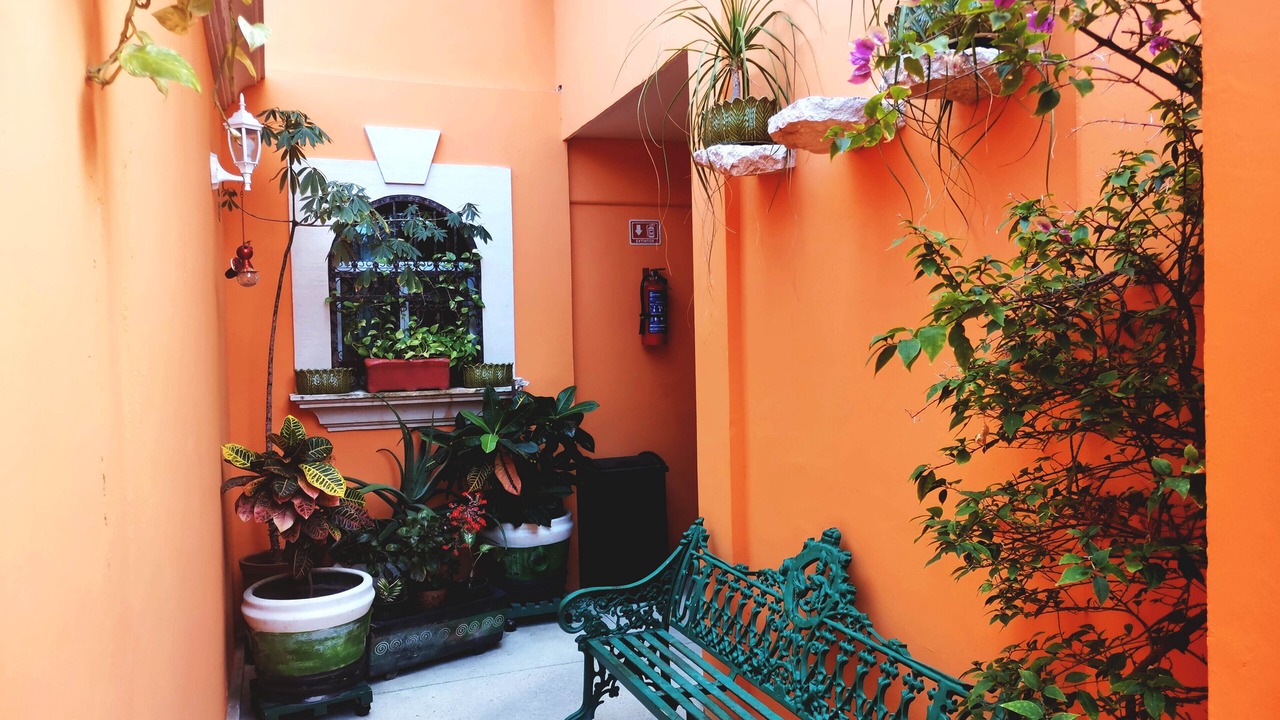 Photo of Outdoor in Downtown Cancun