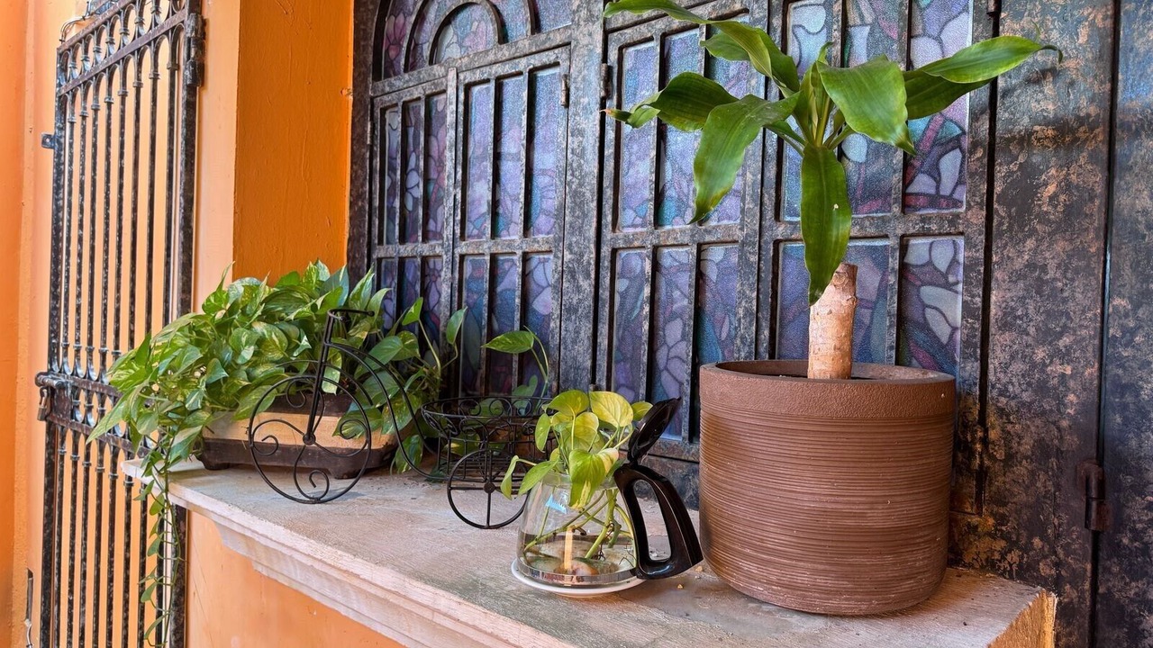 Photo of Livingroom in Downtown Cancun