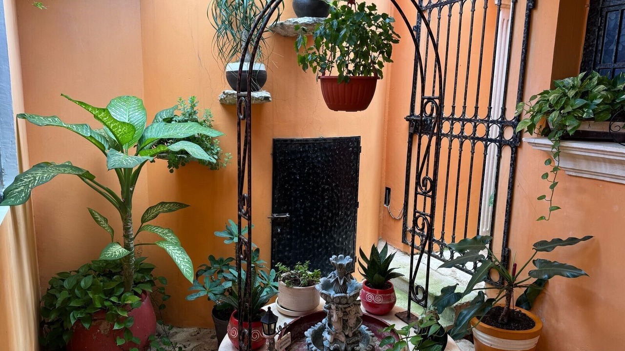 Photo of Livingroom in Downtown Cancun