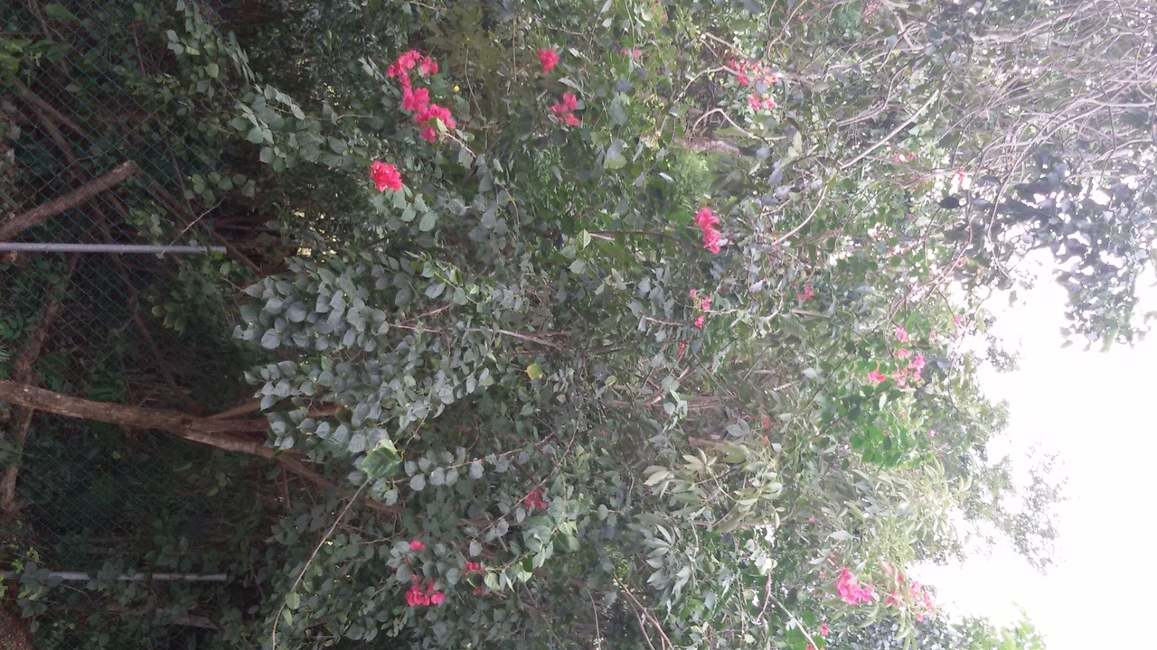 Photo of Outdoor in Puerto Aventuras