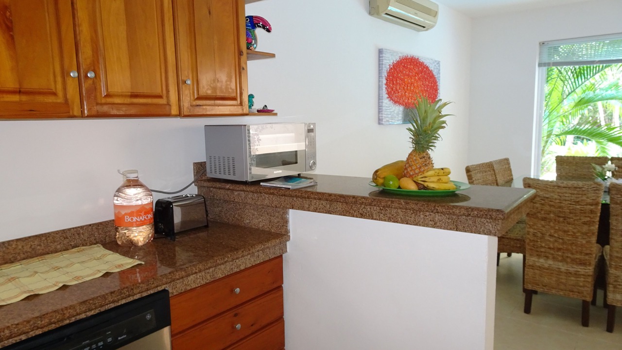 Photo of Others in Puerto Aventuras