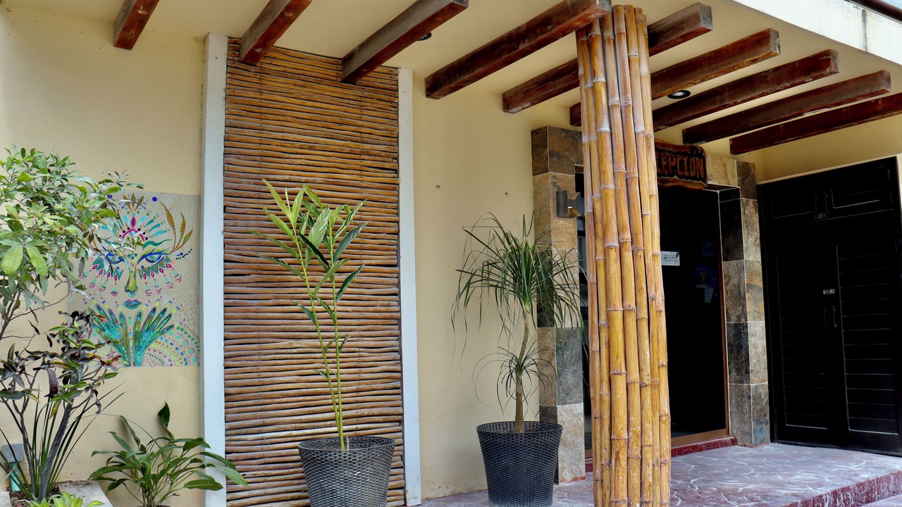 Photo of Others in Downtown Holbox