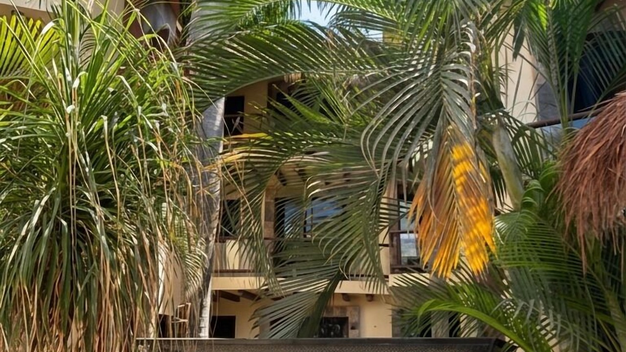 Photo of Outdoor in Downtown Holbox