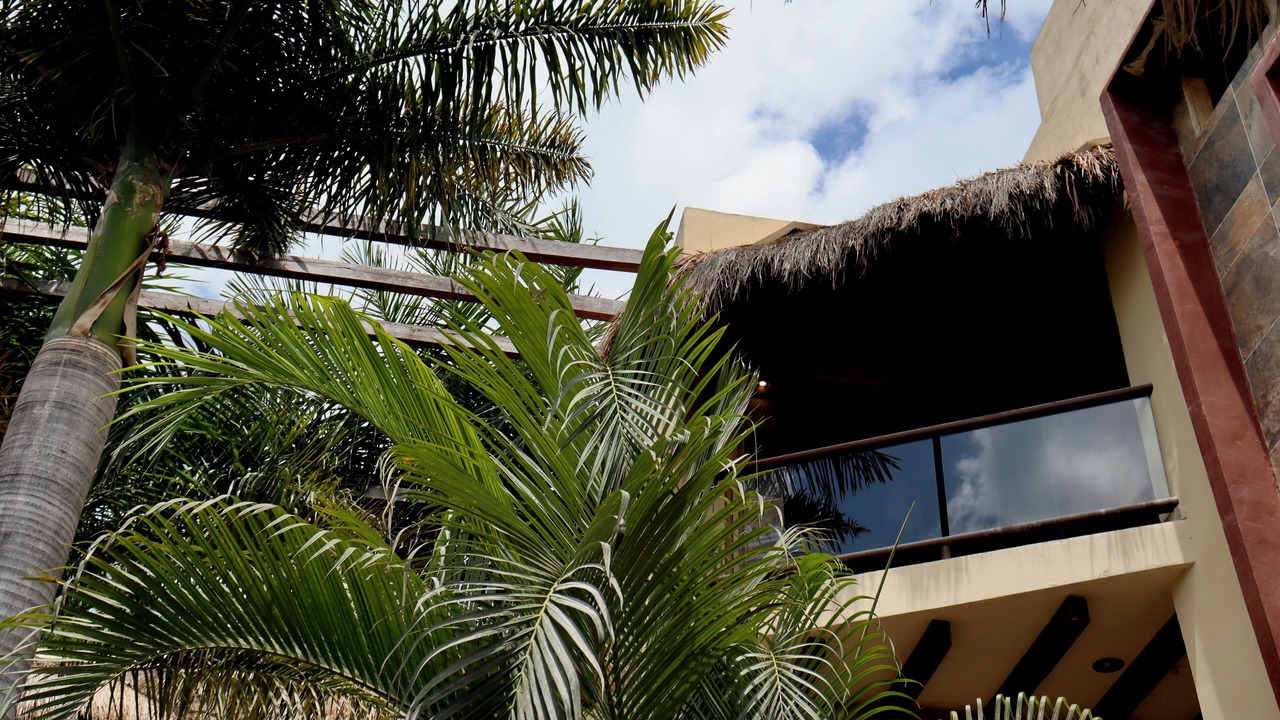 Photo of Others in Downtown Holbox