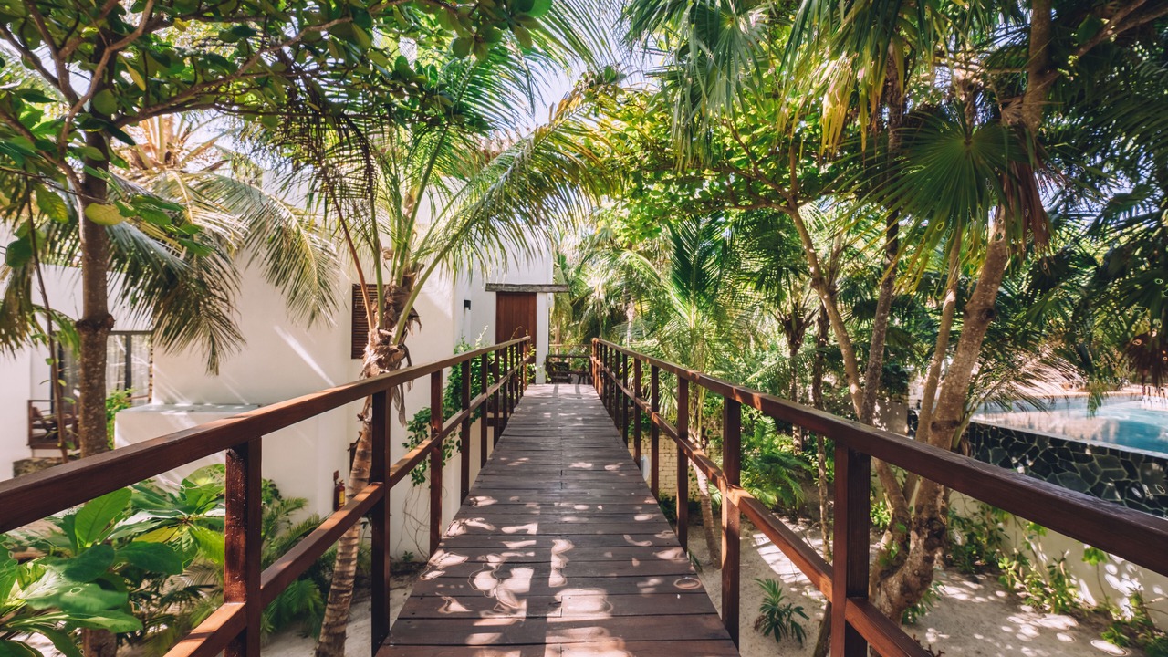 Photo of Outdoor in Zona Hotelera