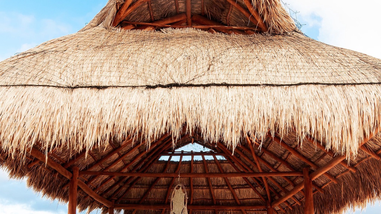 Photo of Outdoor in Luis Donaldo Colosio