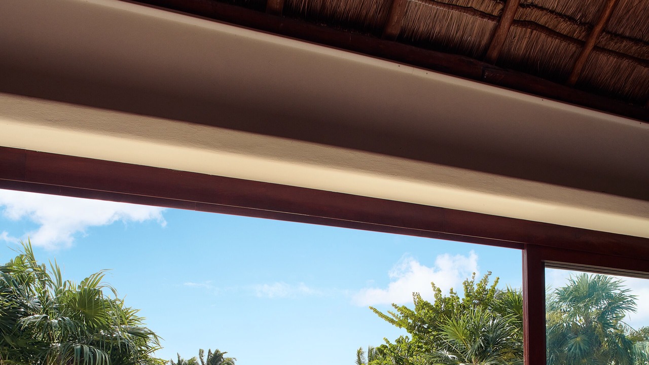 Photo of Outdoor in Punta Allen