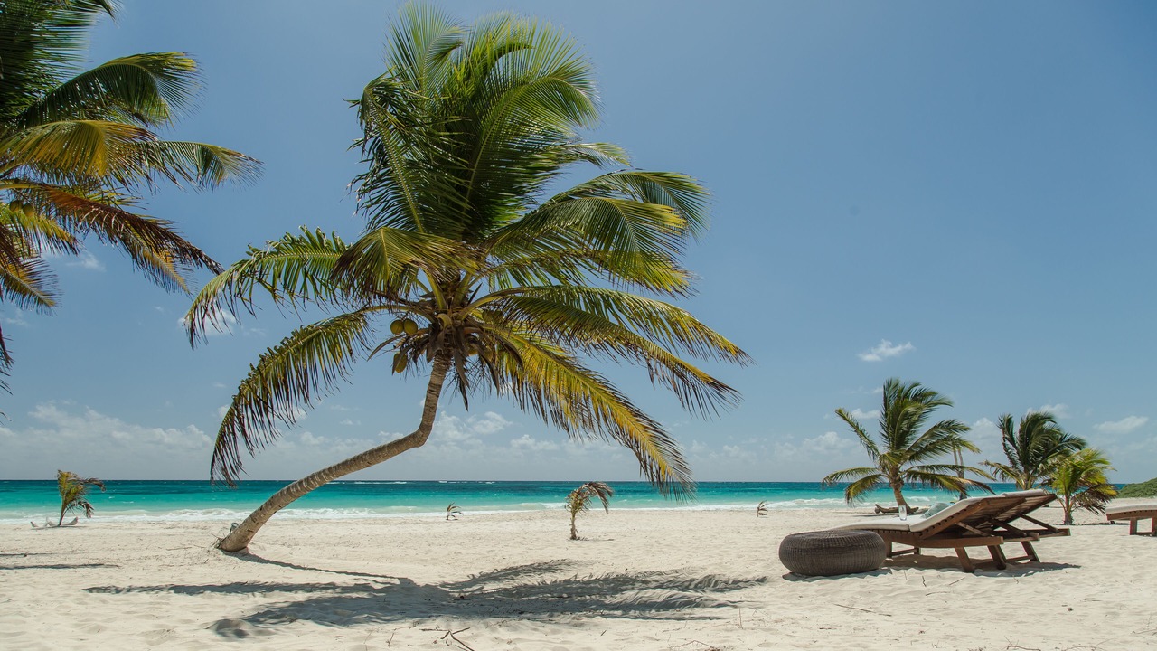 Photo of Outdoor in Punta Allen
