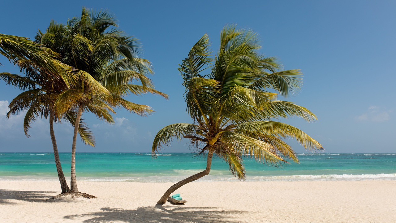 Photo of Others in Punta Allen