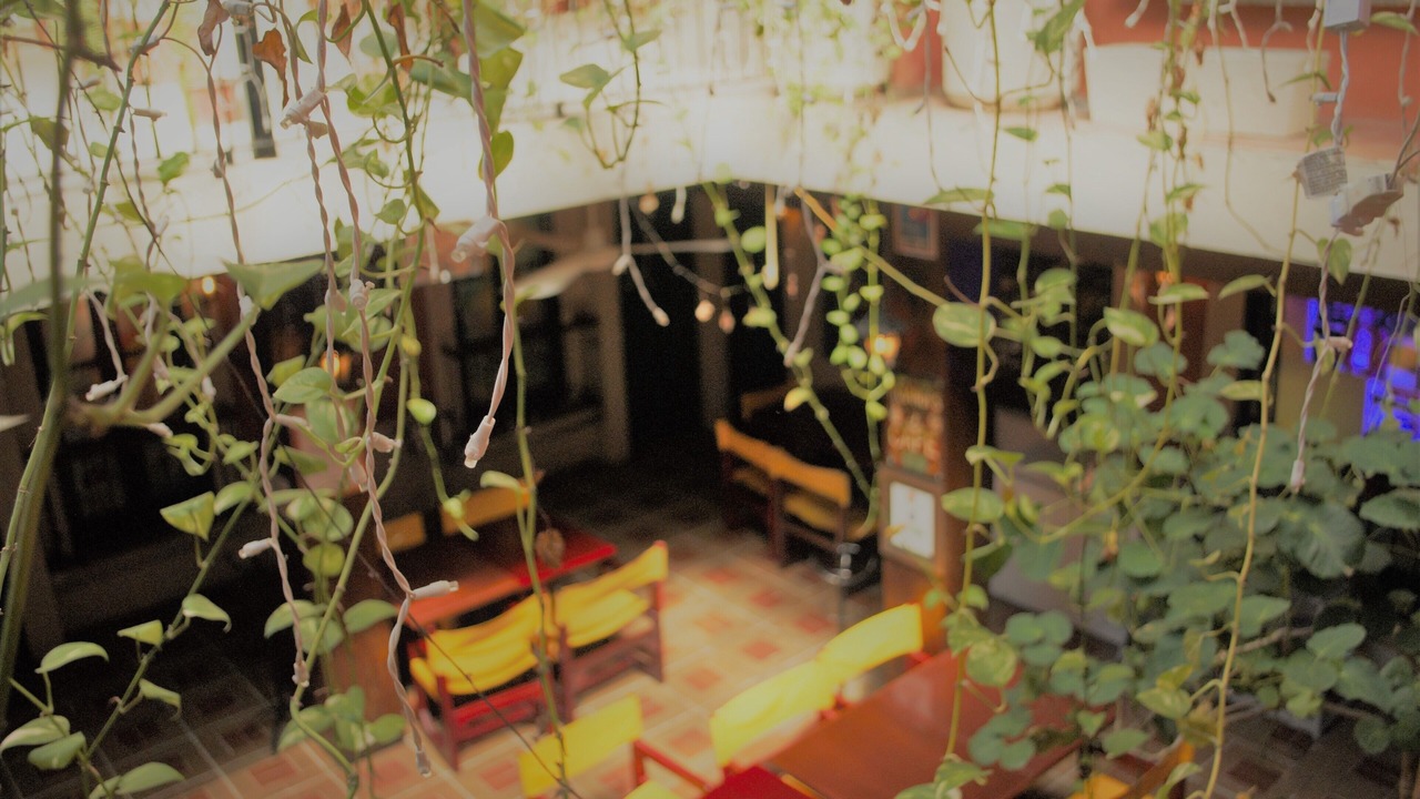 Photo of Others in Centro - Supmza 001