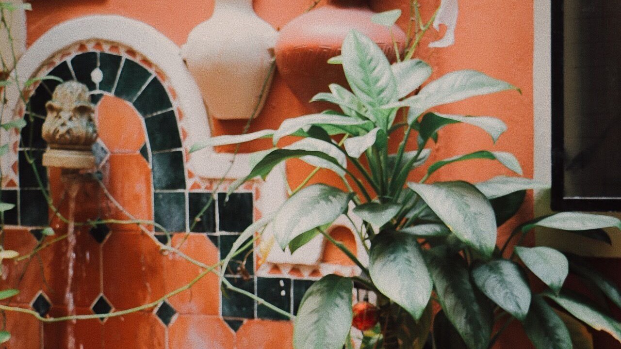Photo of Outdoor in Centro - Supmza 001