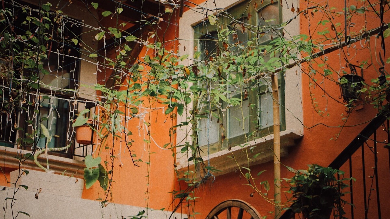 Photo of Outdoor in Centro - Supmza 001