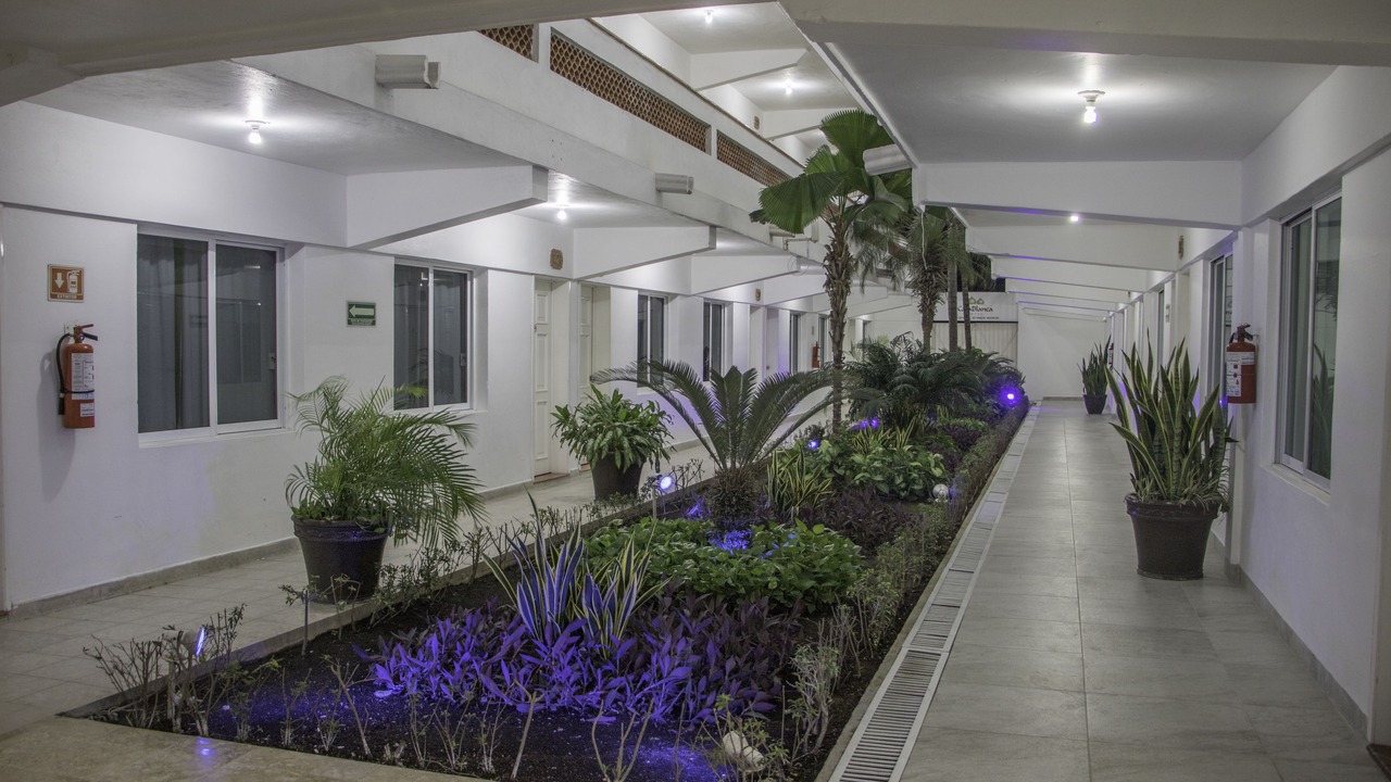 Photo of Outdoor in Chetumal