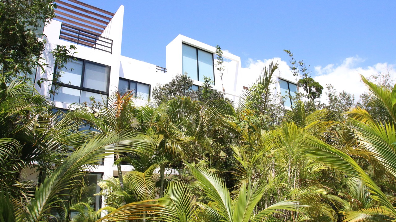 Photo of Outdoor in Akumal