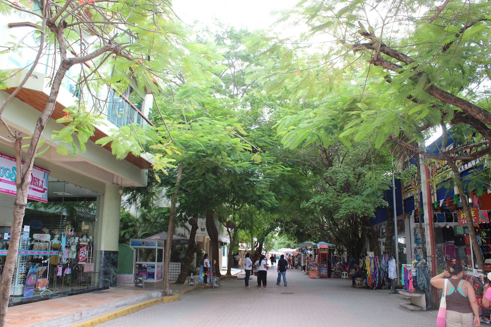 Photo of Outdoor in Gonzalo Guerrero