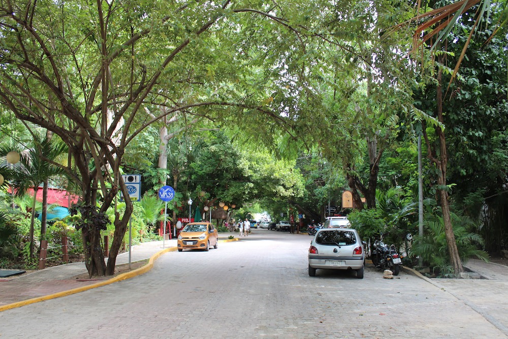 Photo of Others in Gonzalo Guerrero