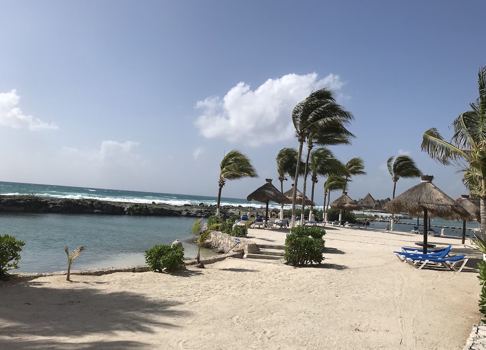 Photo of Others in Puerto Aventuras