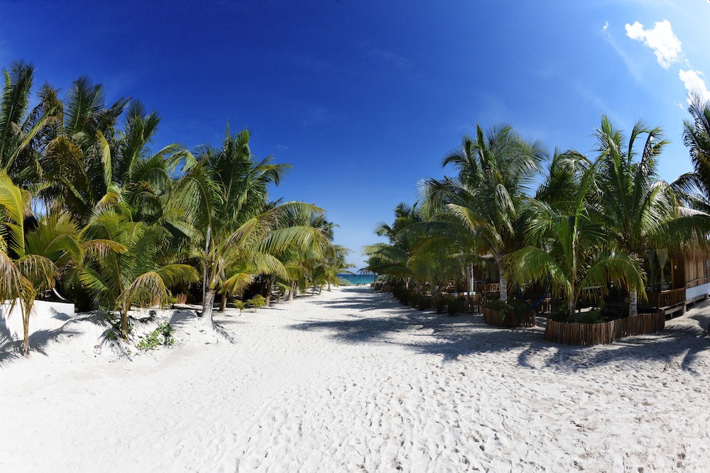 Photo of Others in Playa Paraiso