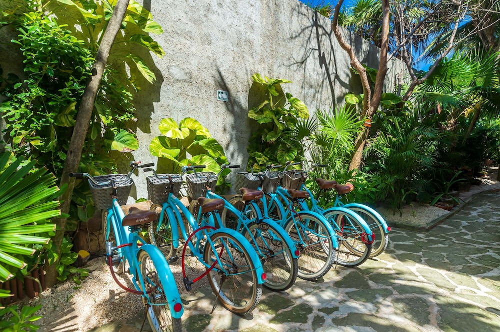 Photo of Outdoor in Playa Paraiso