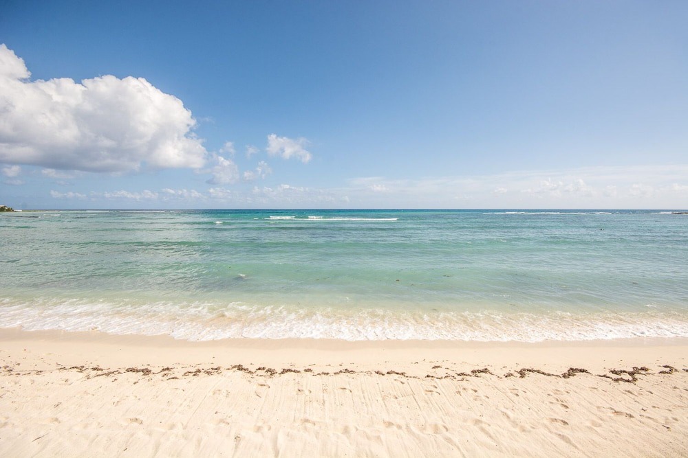 Photo of Others in Akumal