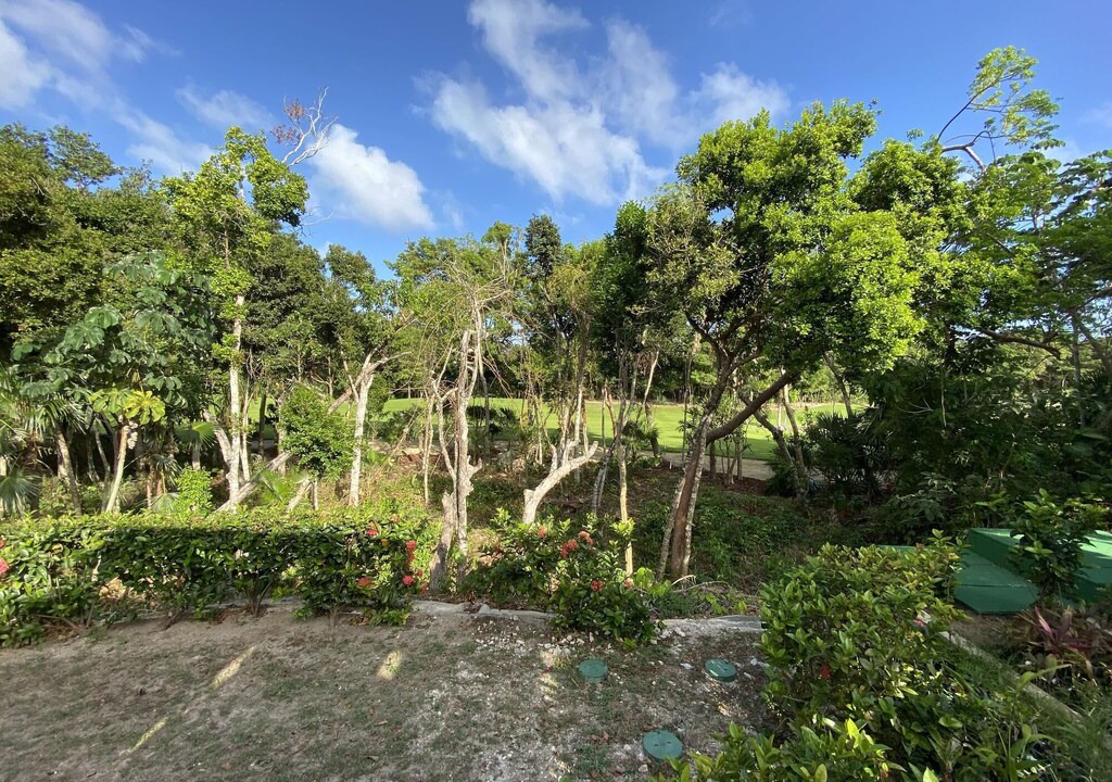 Photo of Outdoor in Akumal