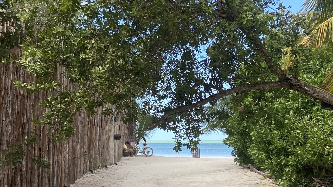 Photo of Others in Isla Holbox