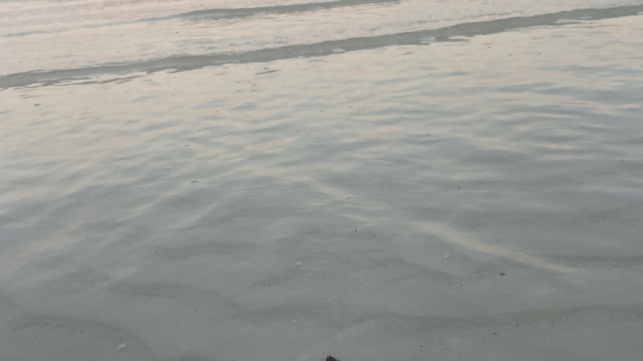 Photo of Others in Isla Holbox