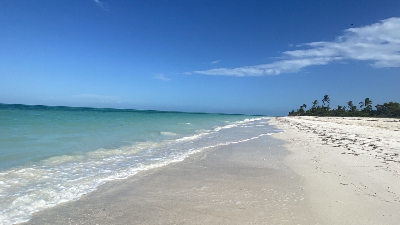 Photo of Others in Isla Holbox