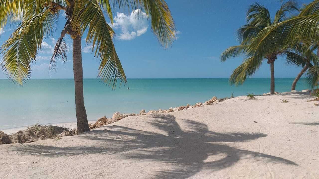 Photo of Others in Isla Holbox