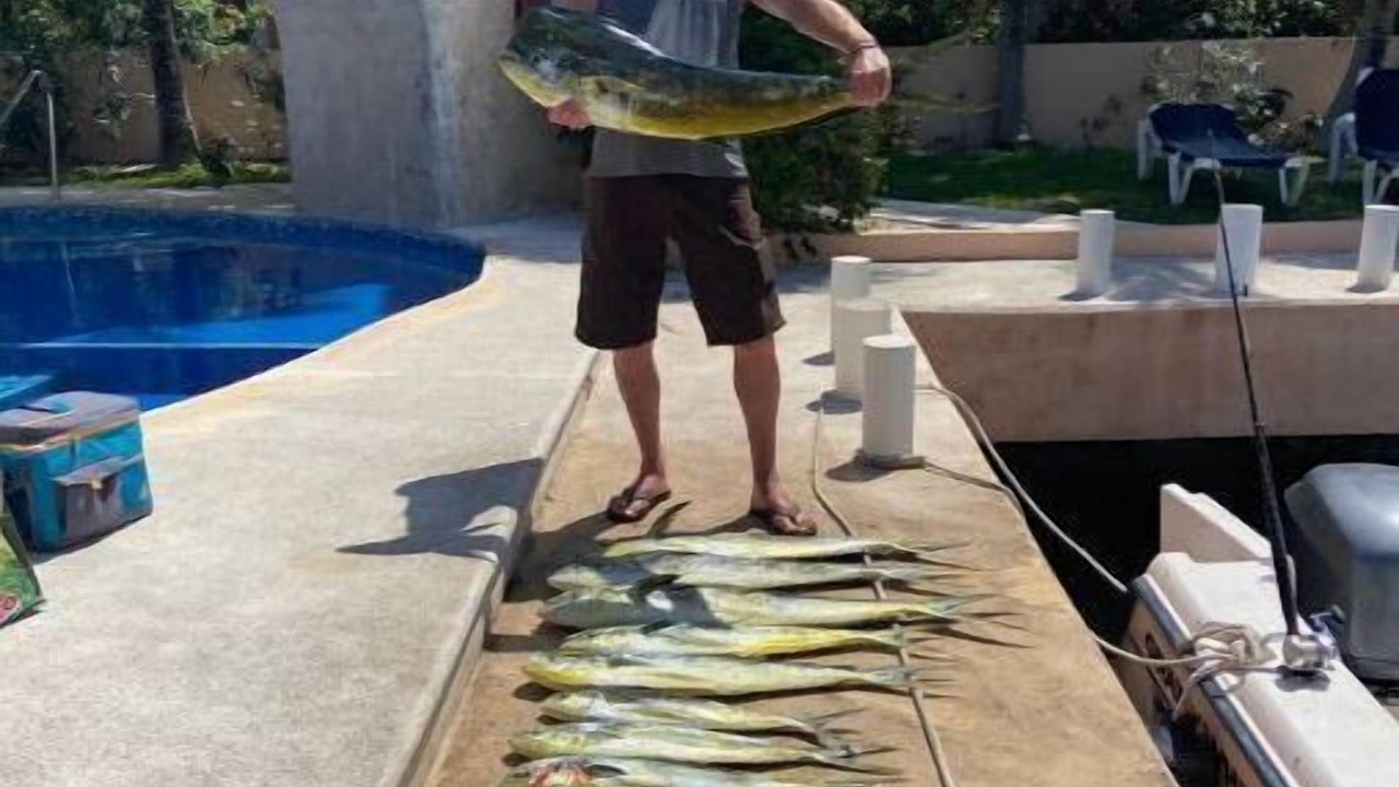 Photo of Outdoor in Puerto Aventuras
