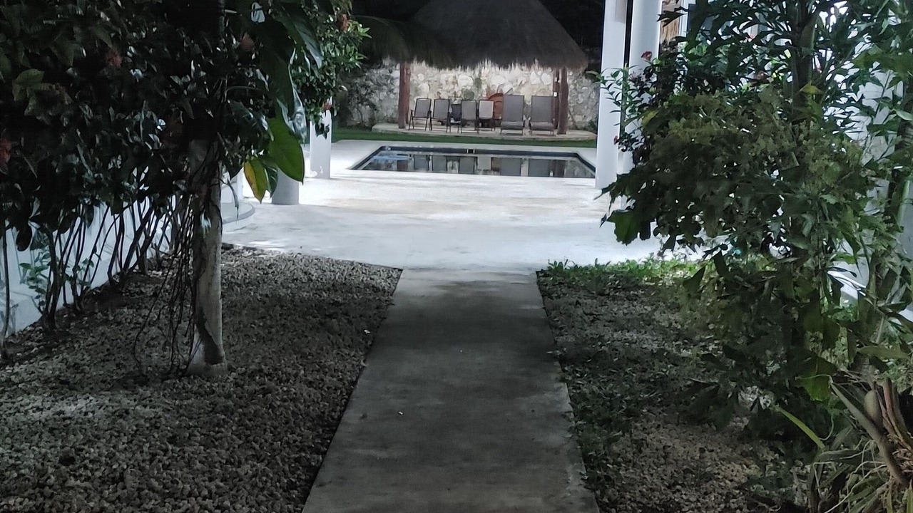 Photo of Outdoor in Alfredo V. Bonfil