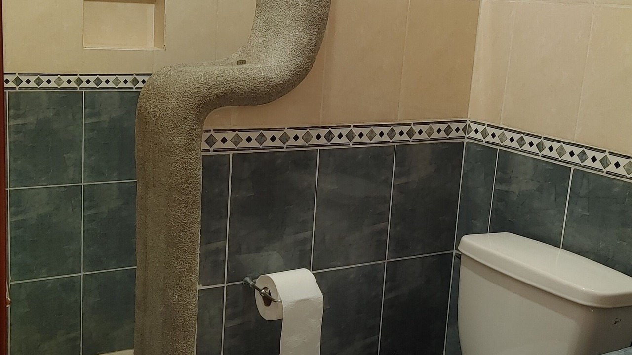 Photo of Bathroom in Alfredo V. Bonfil
