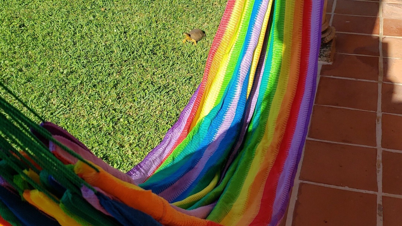Photo of Outdoor in Colonia Centro