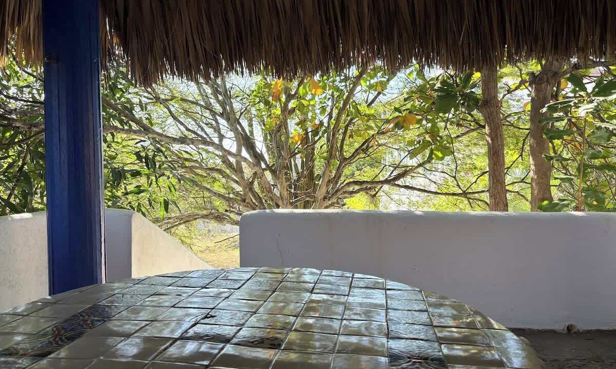 Photo of Outdoor in Hidalgo