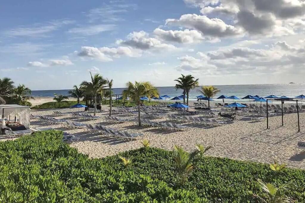 Photo of Outdoor in Playacar Beach