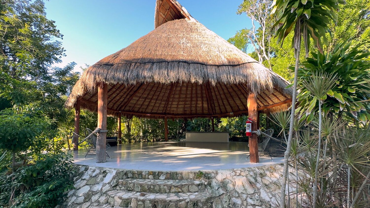 Photo of Others in Puerto Morelos
