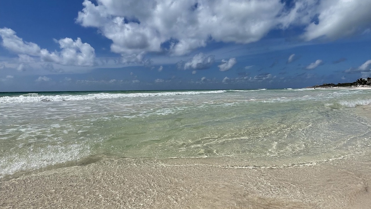 Photo of Others in Playa del Secreto